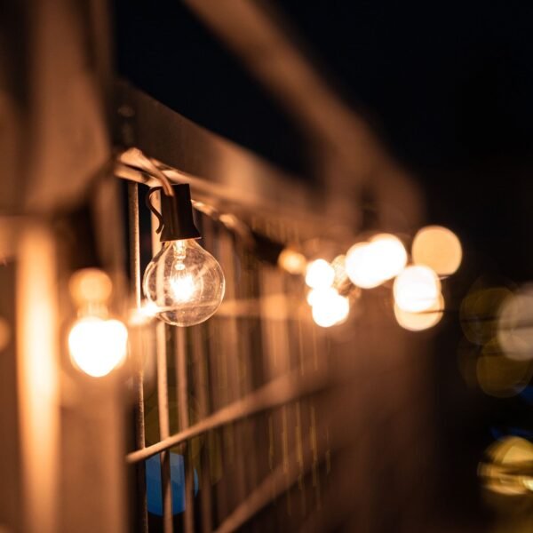 Gardens 20-Count Clear Glass Globe G40 Bulbs - Image 2