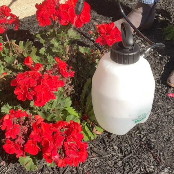 1-Gallon Multi-Purpose Poly Tank Sprayer for Lawn, Home - Image 2